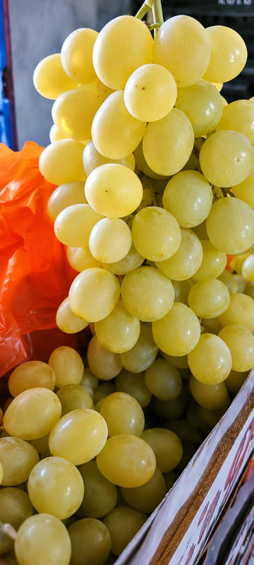 Raisin blanc en cagette
